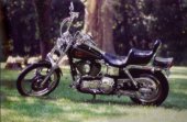 1998 Harley-Davidson Dyna Wide Glide photo